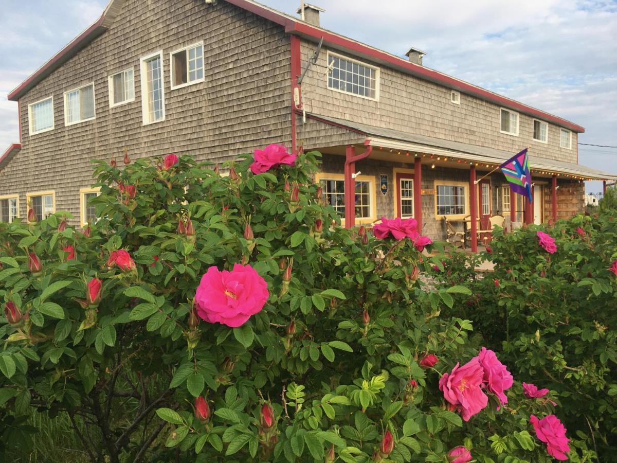 Auberge Cafe Acadien Bonaventure Zewnętrze zdjęcie